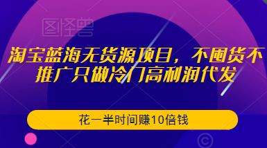 淘宝蓝海无货源项目,不囤货不推广只做冷门高利润代发,花一半时间赚10倍钱-赚金金-技能学习分享