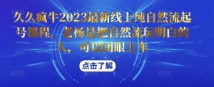 久久疯牛2023最新线上纯自然流起号课程，老杨是把自然流玩明白的人，可以闭眼上车-赚金金-技能学习分享
