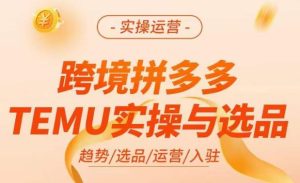 跨境拼多多TEMU实操与选品,掌握平台运营方法技巧,选品避坑12条标准,爆款的底层思路等-赚金金-技能学习分享