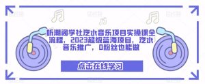 听潮阁学社汽水音乐项目实操课全流程,2023超级蓝海项目,汽水音乐推广,0粉丝也能做-赚金金-技能学习分享