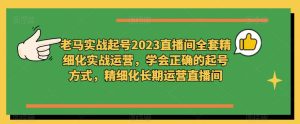 老马实战起号2023直播间全套精细化实战运营,学会正确的起号方式,精细化长期运营直播间-赚金金-技能学习分享