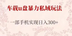 车载u盘暴力私域玩法,长期项目,仅需一部手机实现日入300+-赚金金-技能学习分享