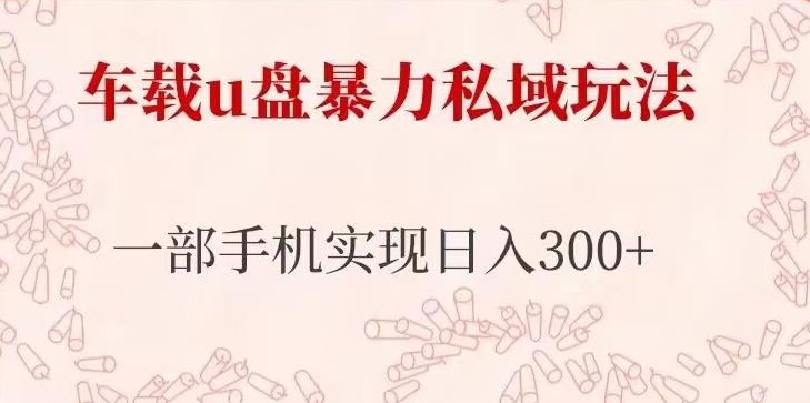 车载u盘暴力私域玩法,长期项目,仅需一部手机实现日入300+-赚金金-技能学习分享