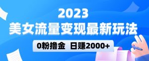 2023美女流量变现最新玩法，0粉撸金，日赚2000+，实测日引流300+-赚金金-技能学习分享