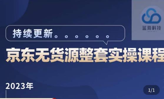 蓝七·2023京东店群整套实操视频教程,京东无货源整套操作流程大总结,减少信息差,有效做店发展-赚金金-技能学习分享
