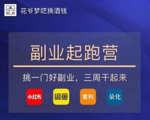 花爷-副业起跑营第2期，挑一门好副业，三周干起来（闲鱼｜小红书｜量化｜套利）-赚金金-技能学习分享