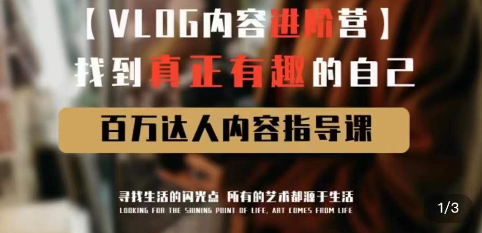 vlog内容进阶营,找到真正有趣的自己,百万达人内容指导课-赚金金-技能学习分享