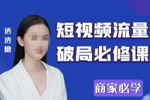 2023最新透糖短视频流量破局必修课——商家必学-赚金金-技能学习分享