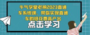 牛气学堂老衲2023直通车系统课,帮你实现直通车的低花费高产出-赚金金-技能学习分享