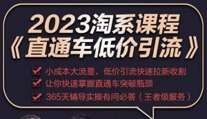 2023直通车低价引流玩法课程,小成本大流量,低价引流快速拉新收割,让你快速掌握直通车突破瓶颈-赚金金-技能学习分享