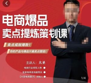 大圣·电商标品爆款卖点策划课,标品卖点成就爆款,可落地卖点提炼课-赚金金-技能学习分享