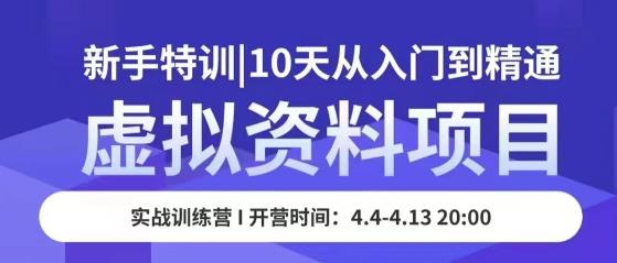 虚拟资料项目新手特训,10天从入门到精通,保姆级实操教学-赚金金-技能学习分享