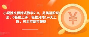 小说推文保姆式教学2.0,另类进阶玩法,0基础上手,轻松月撸1w无上限,可主可副可兼职-赚金金-技能学习分享