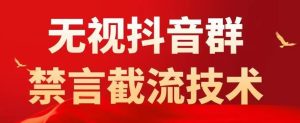 外面卖1500抖音粉丝群无视禁言截流技术,抖音黑科技,直接引流,0封号-赚金金-技能学习分享
