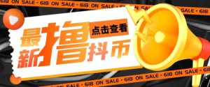 外面收费598的最新pdd无限白嫖抖币项目揭秘,简单暴利【仅揭秘】-赚金金-技能学习分享