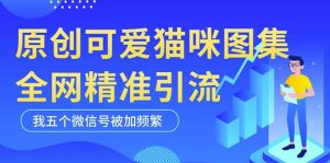 黑科技纯原创可爱猫咪图片,全网精准引流,实操5个VX号被加频繁-赚金金-技能学习分享