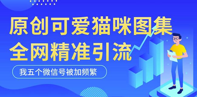黑科技纯原创可爱猫咪图片，全网精准引流，实操5个VX号被加频繁-赚金金-技能学习分享