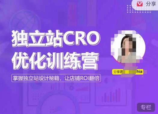 独立站CRO优化训练营,掌握独立站设计秘籍,打造高转化的独立站,让店铺ROI翻倍-赚金金-技能学习分享