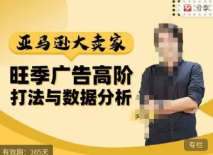 阿甘·亚马逊大卖家广告高阶打法与数据分析,走出传统广告误区;揭秘大卖惯用打法;数据驱动广告决策-赚金金-技能学习分享