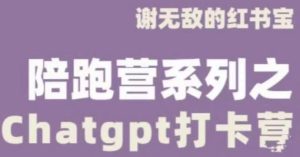 谢无敌ChatGPT打卡营,教你更好地使用ChatGPT来提高工作效率-赚金金-技能学习分享