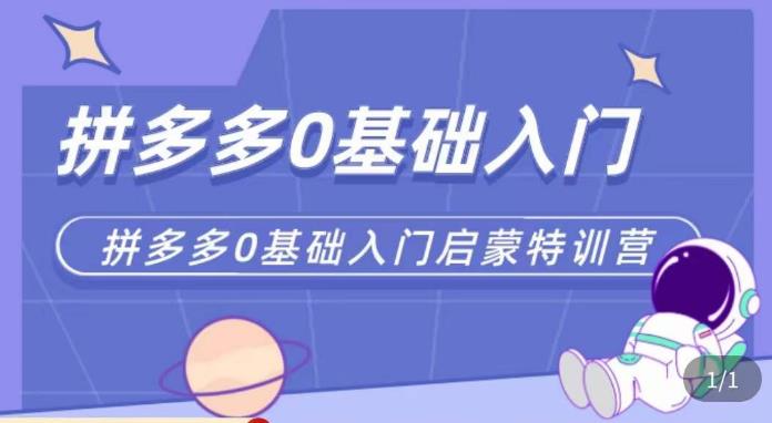 六一电商·拼多多运营0-1实操特训营,拼多多从基础到进阶的可实操玩法-赚金金-技能学习分享