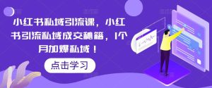 小红书私域引流课,小红书引流私域成交秘籍,1个月加爆私域!-赚金金-技能学习分享