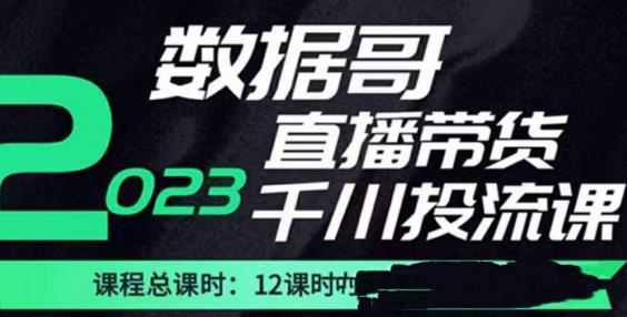 数据哥2023直播电商巨量千川付费投流实操课，快速掌握直播带货运营投放策略-赚金金-技能学习分享