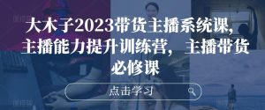 大木子2023带货主播系统课,主播能力提升训练营,主播带货必修课-赚金金-技能学习分享