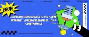 云顶联盟彭小四2023新无人半无人直播带货教程,自然流起号鱼塘起号,OBS+直播伴侣玩法-赚金金-技能学习分享