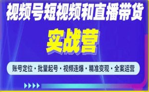 2023最新微信视频号引流和变现全套运营实战课程,小白也能玩转视频号短视频和直播运营-赚金金-技能学习分享