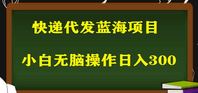 2023最新蓝海快递代发项目,小白零成本照抄也能日入300+-赚金金-技能学习分享