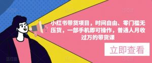 小红书带货项目,时间自由、零门槛无压货,一部手机即可操作,普通人月收过万的带货课-赚金金-技能学习分享