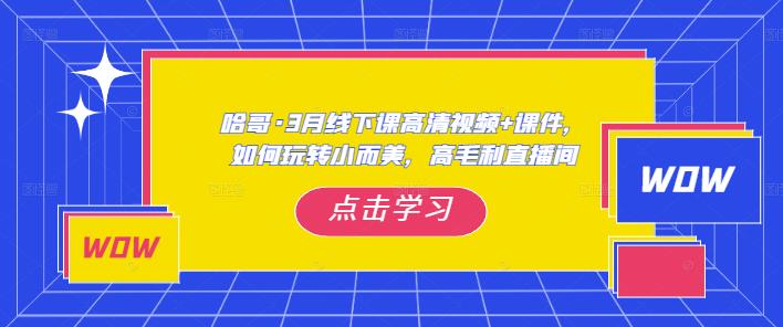 哈哥·3月线下实操课高清视频+课件，如何玩转小而美，高毛利直播间-赚金金-技能学习分享