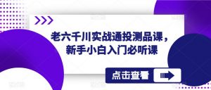 老六千川实战通投测品课，新手小白入门必听课-赚金金-技能学习分享