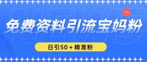 免费资料引流宝妈粉,日引50+精准粉【揭秘】-赚金金-技能学习分享