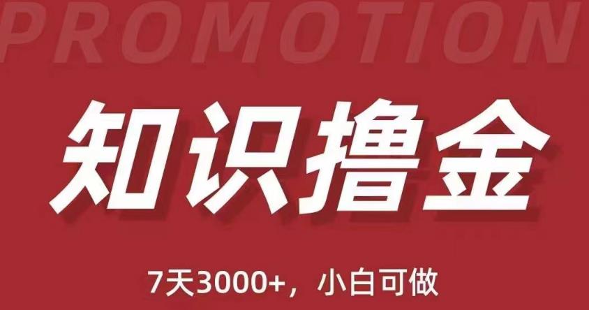 抖音知识撸金项目：简单粗暴日入1000+执行力强当天见收益(教程+资料)-赚金金-技能学习分享
