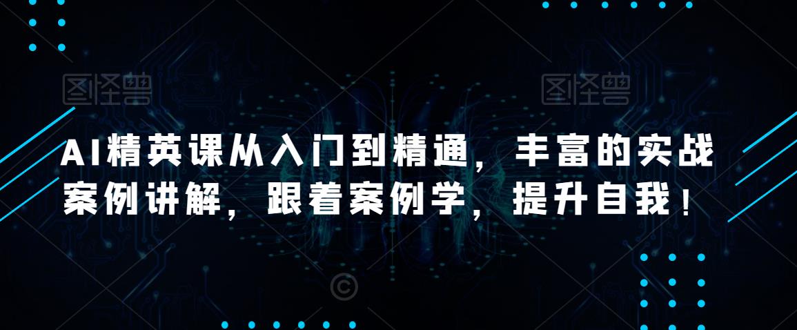 AI精英课从入门到精通，丰富的实战案例讲解，跟着案例学，提升自我！-赚金金-技能学习分享