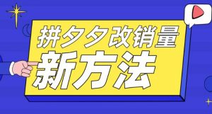 拼多多改销量新方法+卡高投产比操作方法+测图方法等-赚金金-技能学习分享