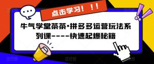 牛气学堂茶茶•拼多多运营玩法系列课—-快速起爆秘籍【更新】-赚金金-技能学习分享