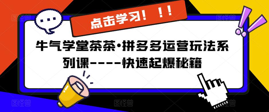 牛气学堂茶茶•拼多多运营玩法系列课—-快速起爆秘籍【更新】-赚金金-技能学习分享