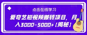 爱奇艺短视频搬砖项目，月入3000-5000+【揭秘】-赚金金-技能学习分享