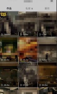 毒文案升级玩法,流量爆炸,5分钟一条原创作品,单个作品变现500+-赚金金-技能学习分享