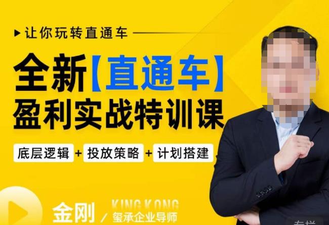 玺承·全新直通车盈利实战特训课,从底层逻辑详细拆解,从底层,策略到搭建,让你玩转直通车-赚金金-技能学习分享