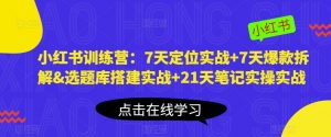 小红书训练营:7天定位实战+7天爆款拆解&选题库搭建实战+21天笔记实操实战-赚金金-技能学习分享