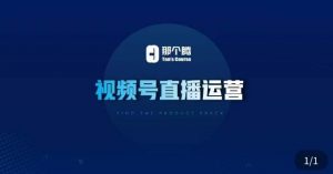 那个腾·视频号直播运营,视频号直播推流逻辑/流量渠道解析/直播起号攻略/直播实操技巧-赚金金-技能学习分享