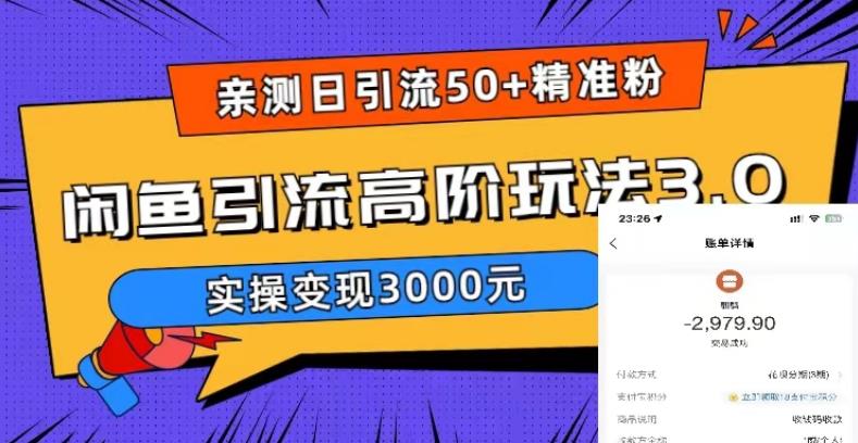 亲测日引50+精准粉,闲鱼引流高阶玩法3.0,实操变现3000元【揭秘】-赚金金-技能学习分享