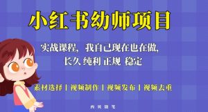 单天200-700的小红书幼师项目(虚拟),长久稳定正规好操作!-赚金金-技能学习分享