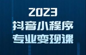 2023年抖音小程序变现保姆级教程,0粉丝新号,无需实名,3天起号,第1条视频就有收入-赚金金-技能学习分享