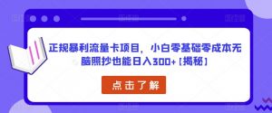 正规暴利流量卡项目,小白零基础零成本无脑照抄也能日入300+【揭秘】-赚金金-技能学习分享