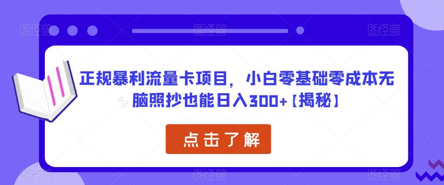 正规暴利流量卡项目，小白零基础零成本无脑照抄也能日入300+【揭秘】-赚金金-技能学习分享